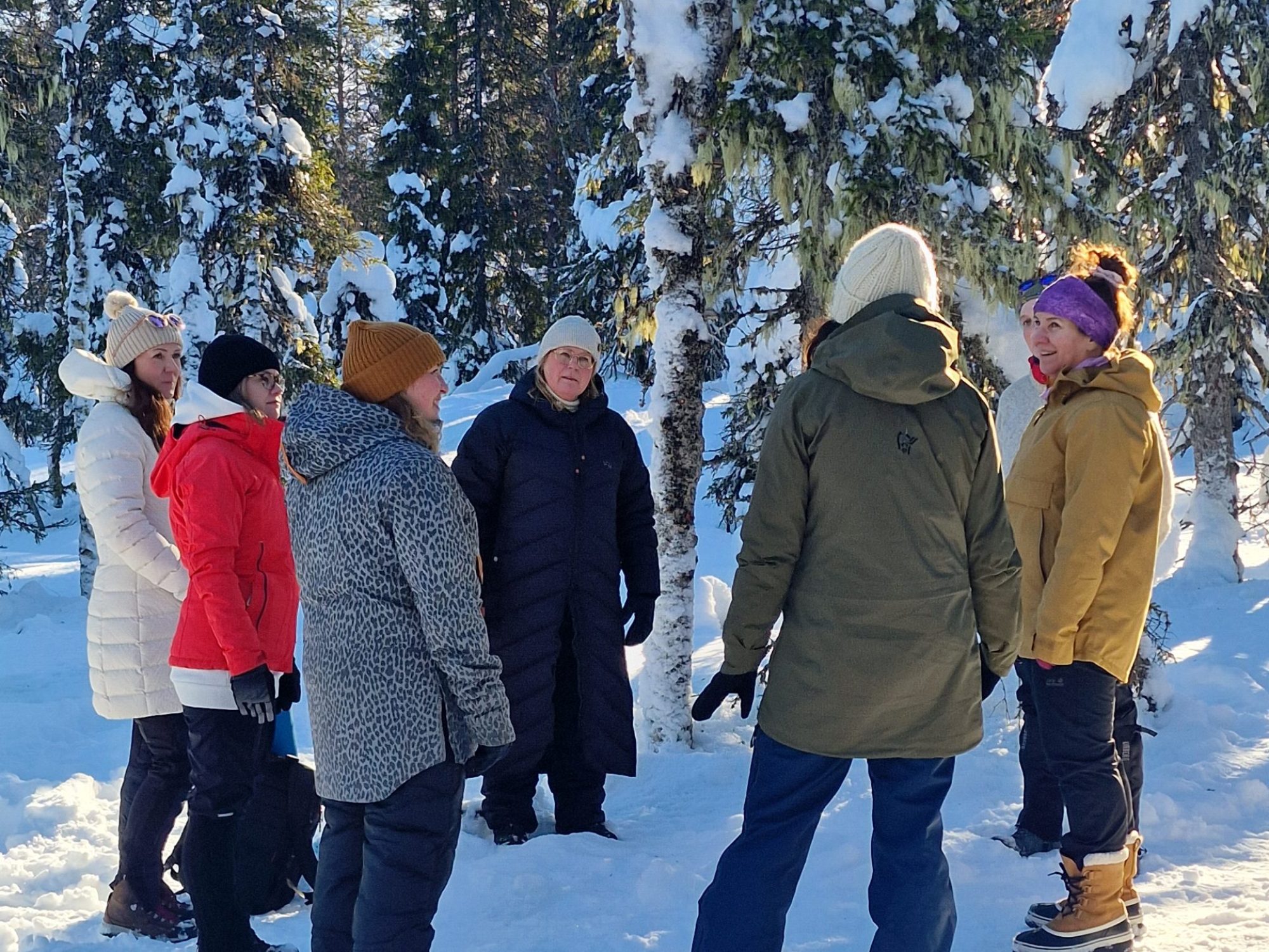 Kiskoteka tunturissa