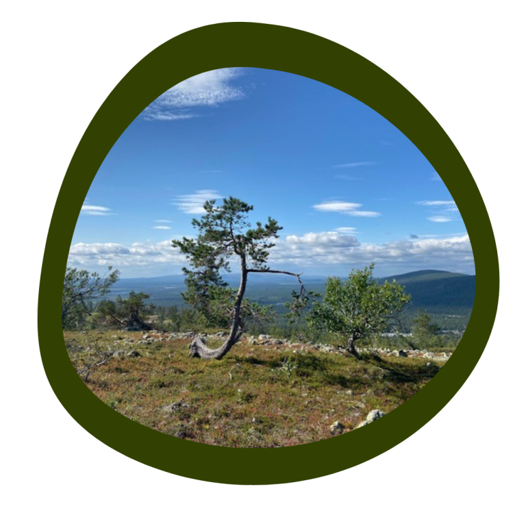 Kuvassa on kaunis tunturimaisema